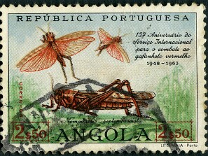 1963