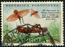 1963