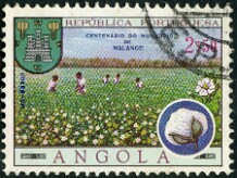1968