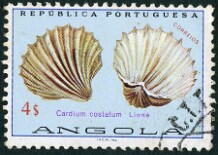 1974