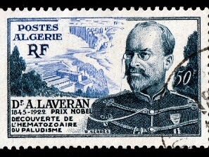 1954