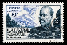 1954