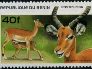 1996