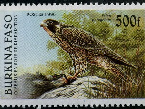 1996