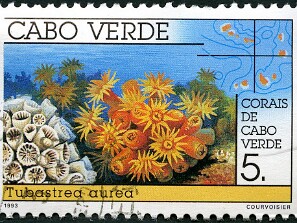 1993
