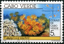 1993