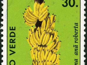 1994