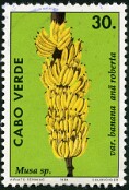 1994
