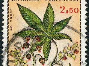 1952