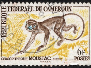 1962