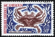 1968