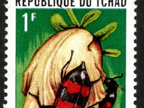 1967
