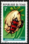 1967