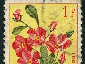 1952