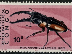 1971