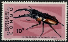 1971