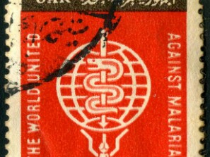 1962