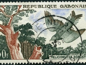 Gabão