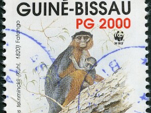 1992