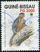 1992