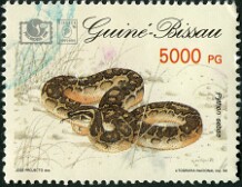 1994