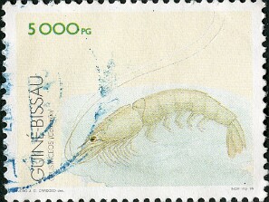 1996