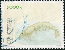 1996