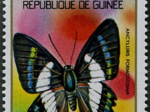 1973
