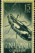 1954