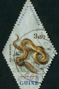1963