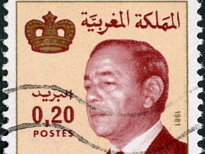 1981