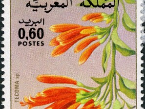 1983