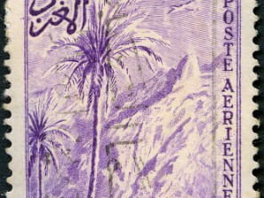 1955