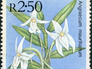 1969
