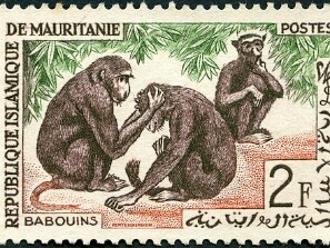 Mauritânia