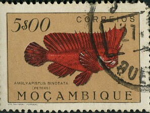 1951