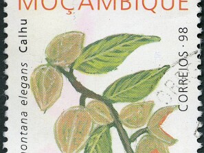 1998