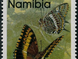 1993