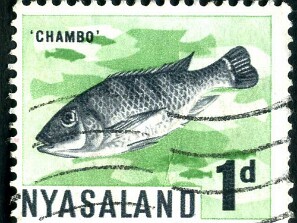 1964