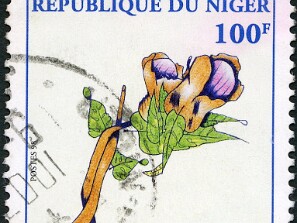 1998