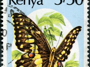 1988
