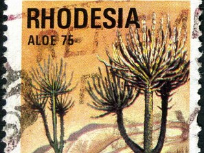 1975