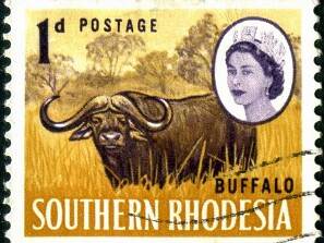 1964