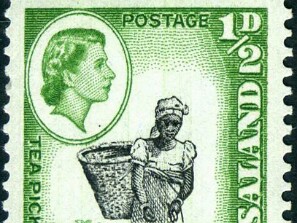 1959