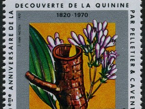 1970