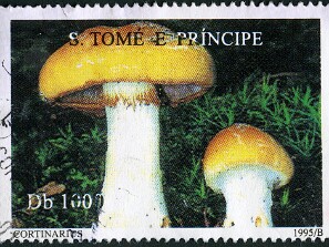 1995