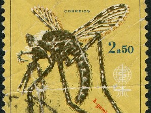 1962