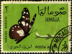 1964