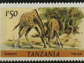 1980