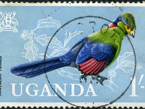 1965